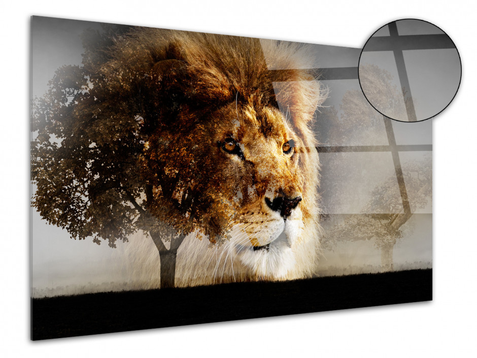 Tableau plexiglas photo LA SPLENDEUR DU LION