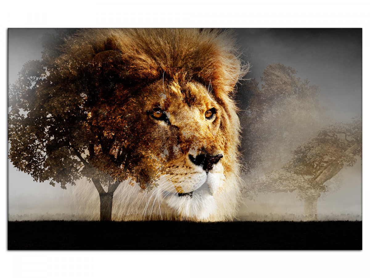 Vente tableau photo lion paysage sauvage - Cadre mural moderne