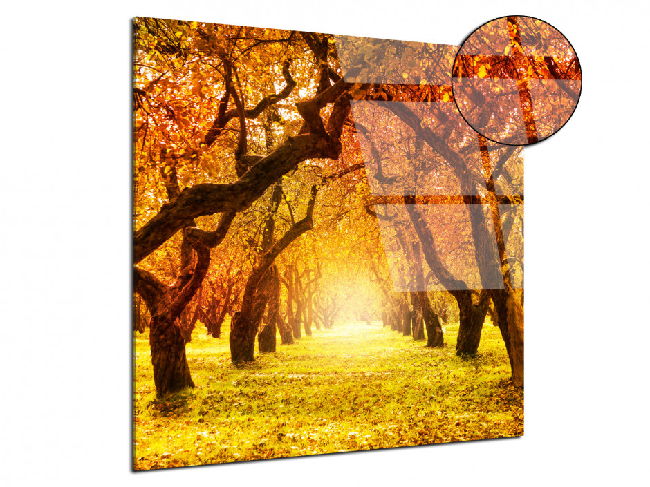 Tableau Plexiglas photo carré paysage d'automne