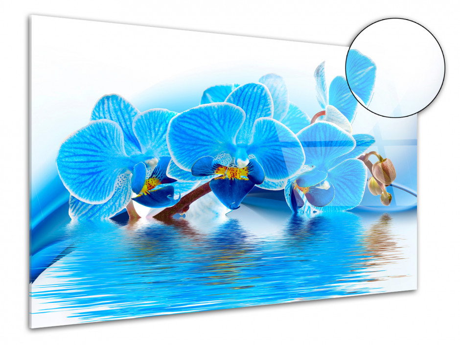 Tableau plexiglas ORCHIDÉES BLEUES SUR L'EAU