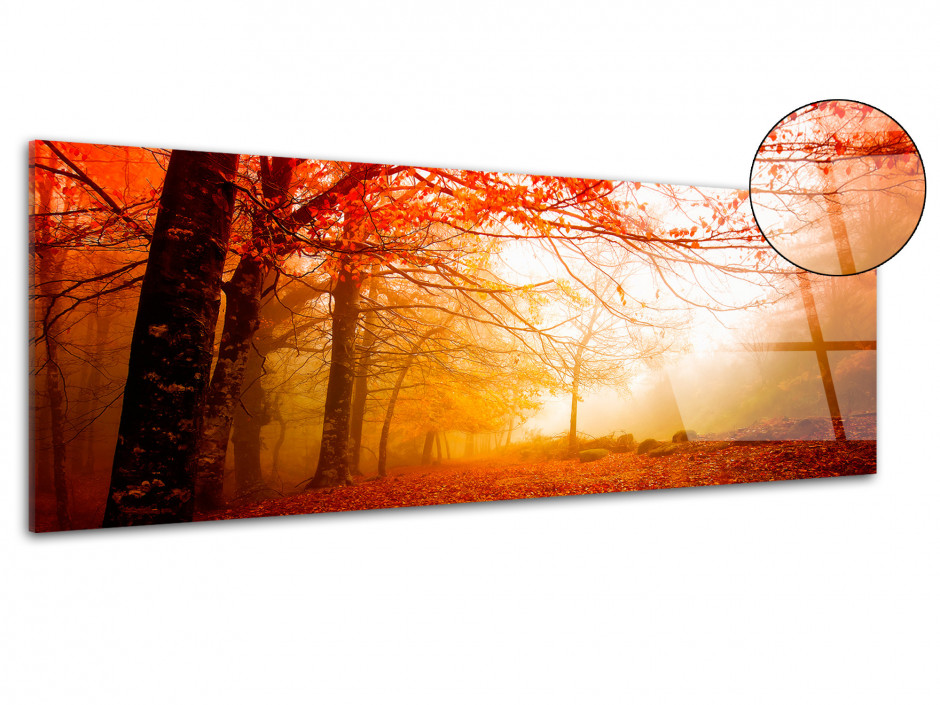 Tableau plexiglas photo paysage PROMENADE AUTOMNALE