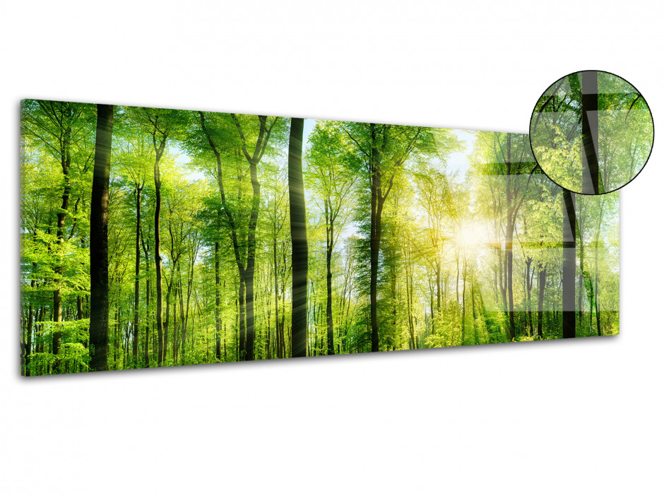 Tableau plexiglas photo de paysage NATURE VERDOYANTE