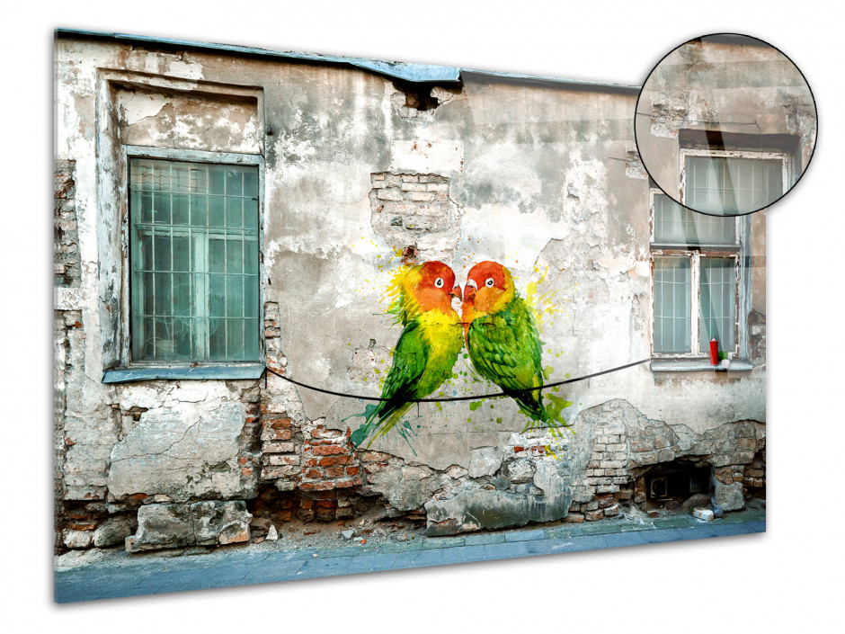 Tableau plexiglas photo graffiti COUPLE OISEAUX