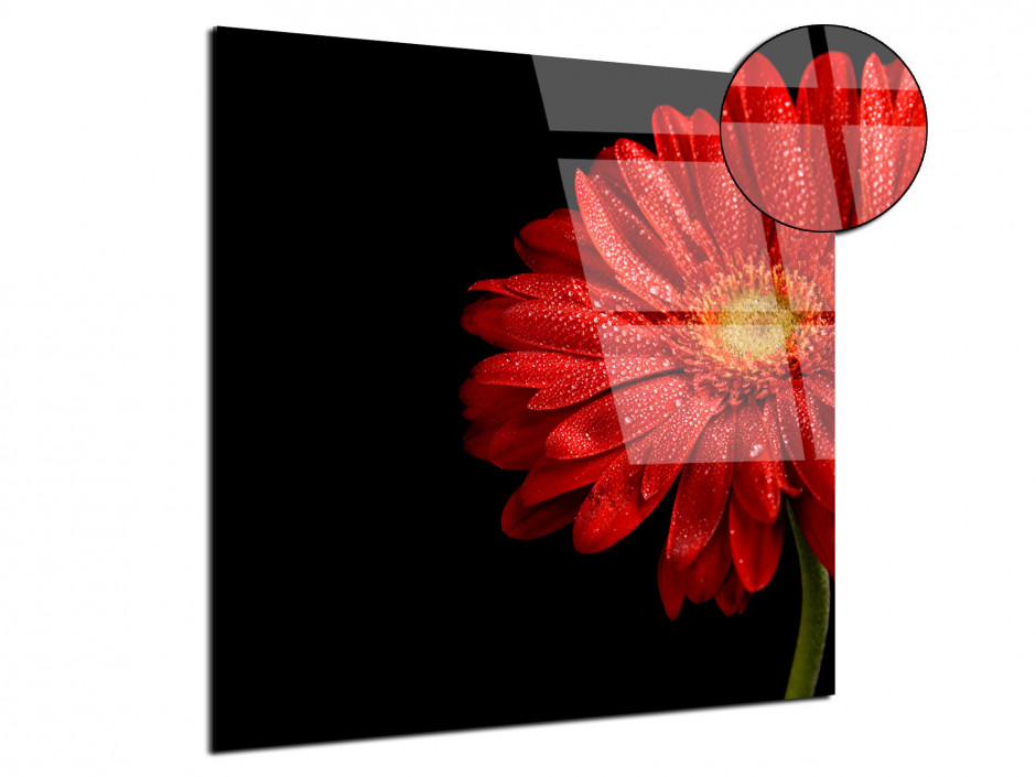 Tableau plexiglas deco Gerbera Rouge