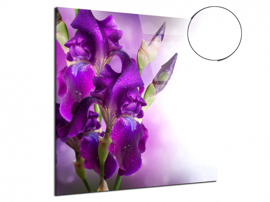 Tableau plexiglas deco Fleurs d'Iris