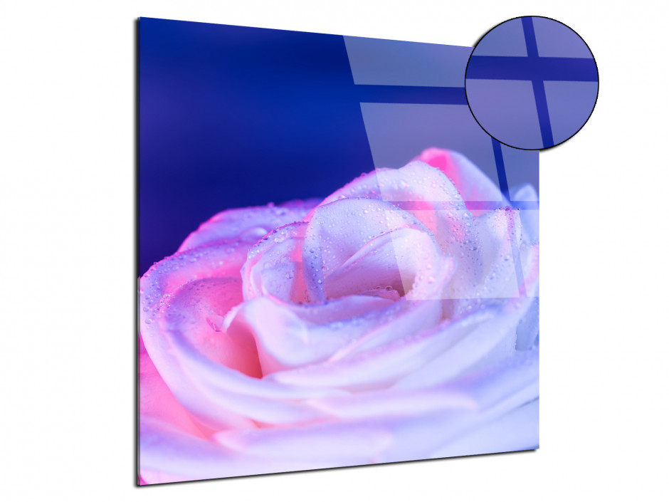 Tableau plexiglas deco Rose violette