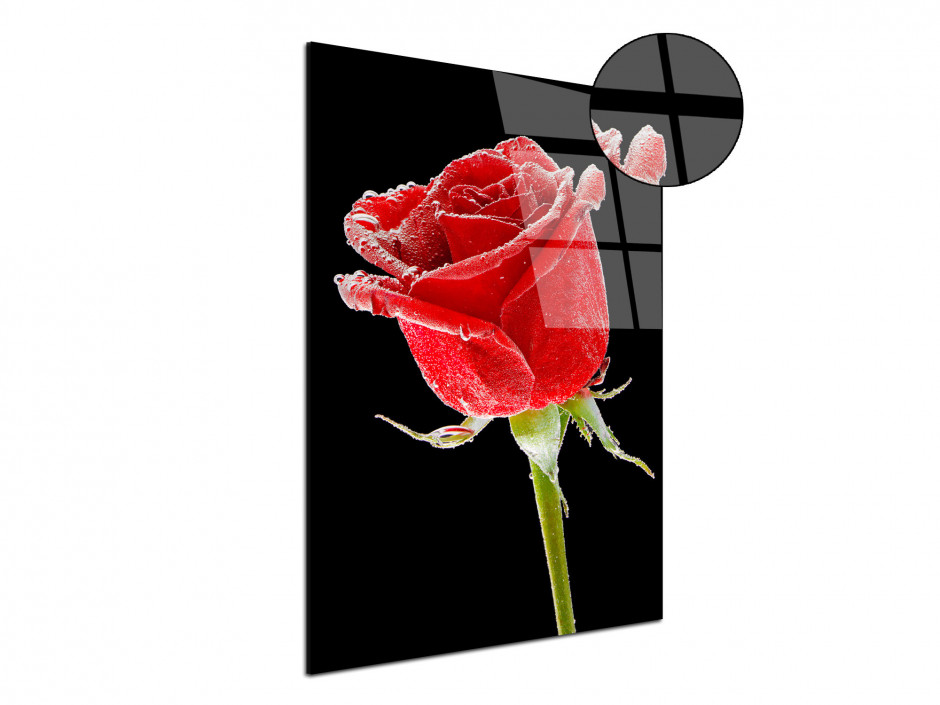 Tableau plexiglas deco rose sur fond noir