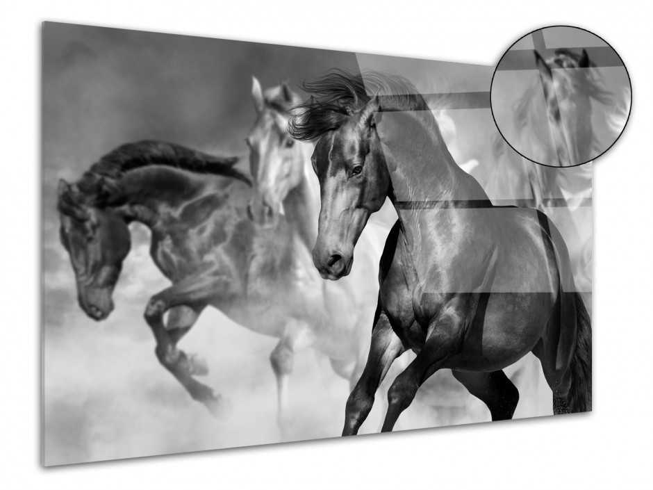 Tableau plexiglas course de chevaux