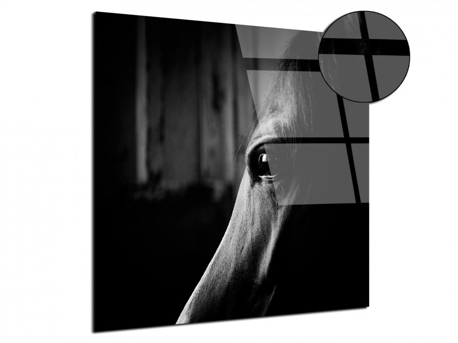 Tableau photo plexiglas portrait Cheval