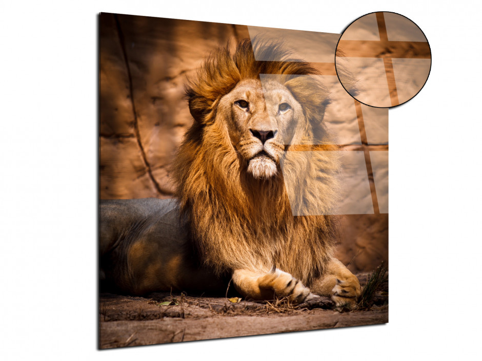 Tableau plexiglas le roi Lion