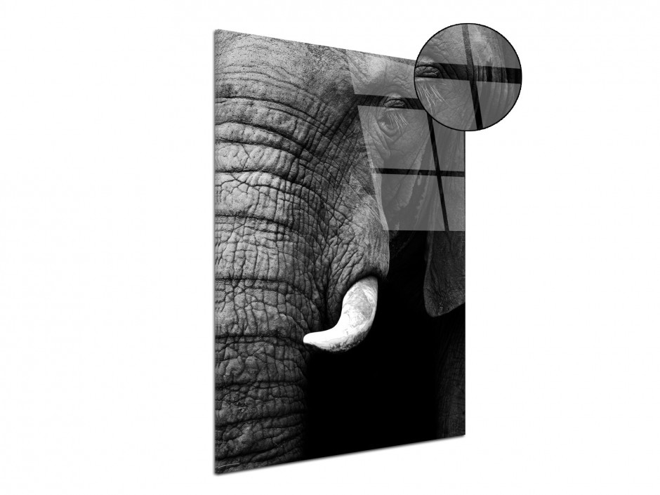 Tableau plexiglas original éléphant