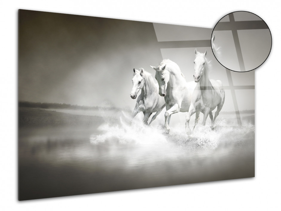 Tableau plexiglas photo les 3 Chevaux