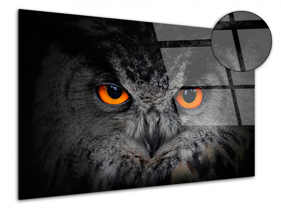 Tableau plexiglas murale Hibou