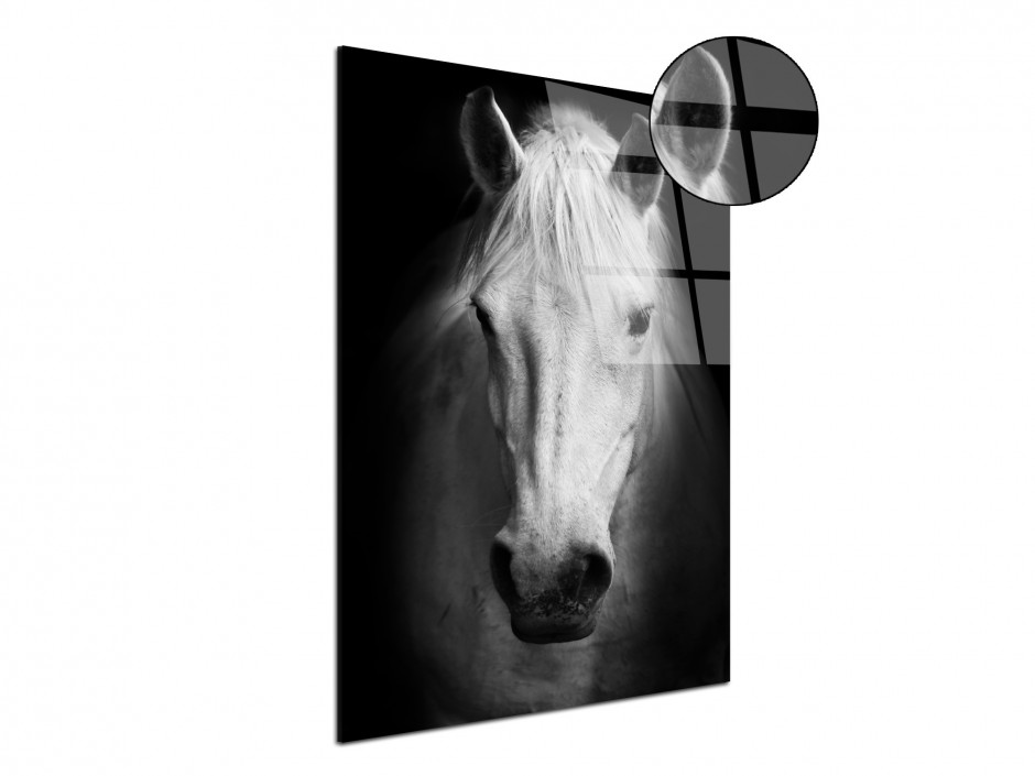 Tableau plexiglas Cheval Blanc