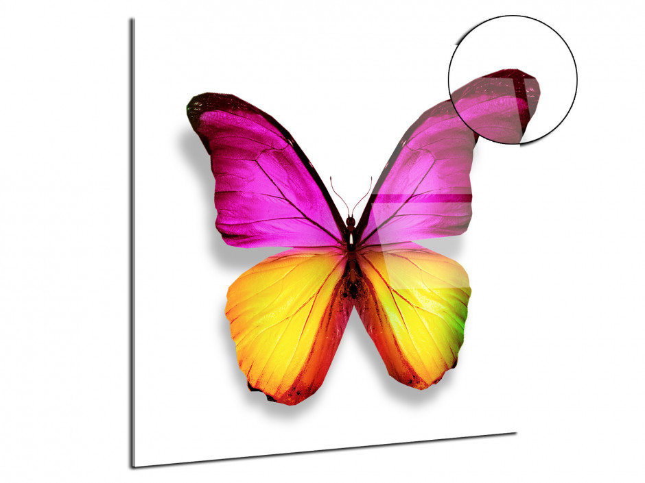 Cadre plexiglas deco moderne Papillon