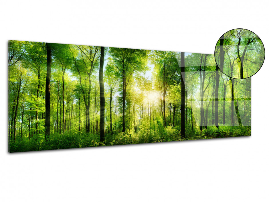 Tableau plexiglas photo FORET VERTE