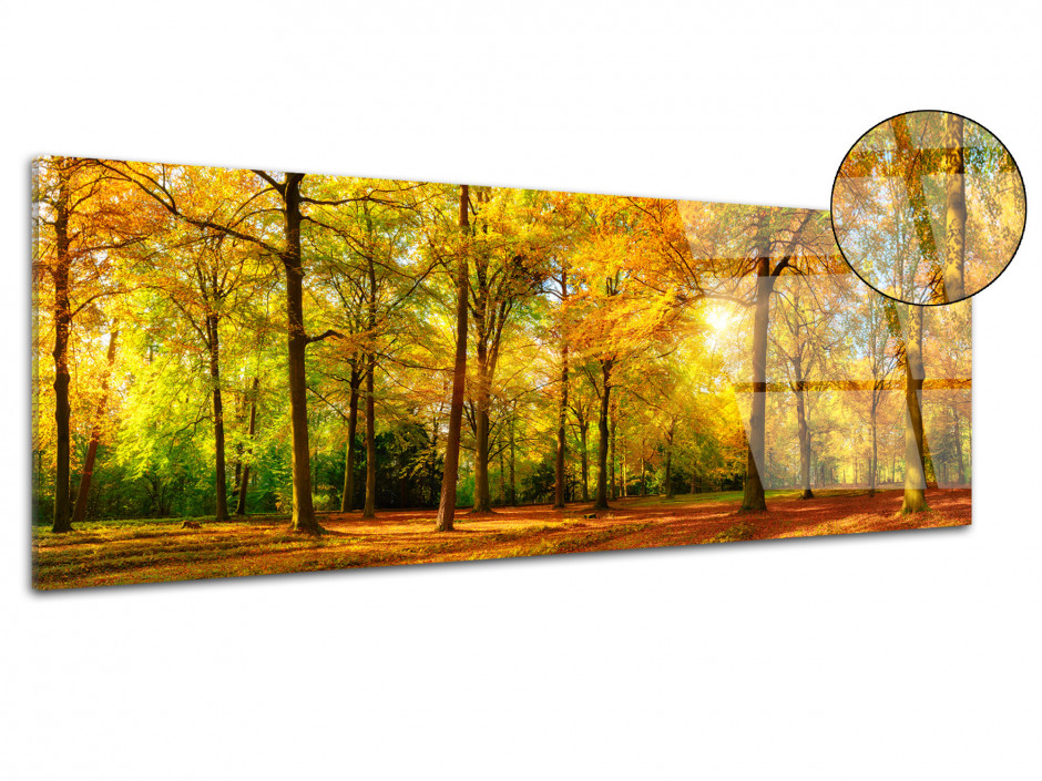 Tableau plexiglas panoramique FORET EN AUTOMNE