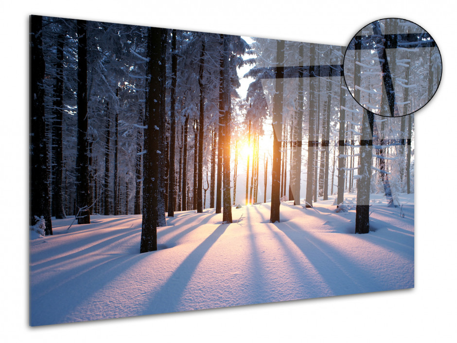 Tableau plexiglas photo COUCHER DE SOLEIL DANS LE BOIS