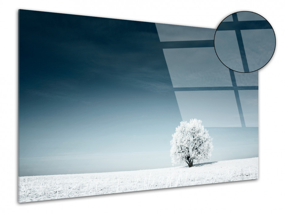 Tableau plexiglas photo paysage SOLITAIRE