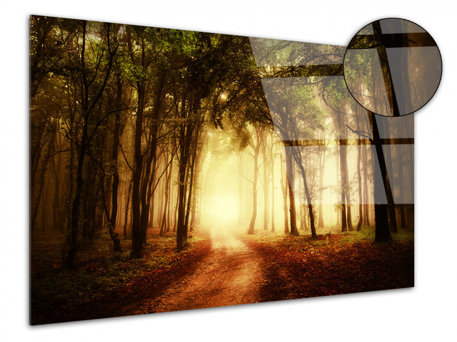 Tableau plexiglas photo paysage COUCHER DE SOLEIL EN FORET