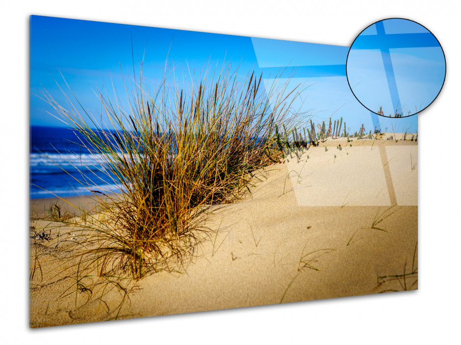 Tableau plexiglas photo LA DUNE DES LANDES