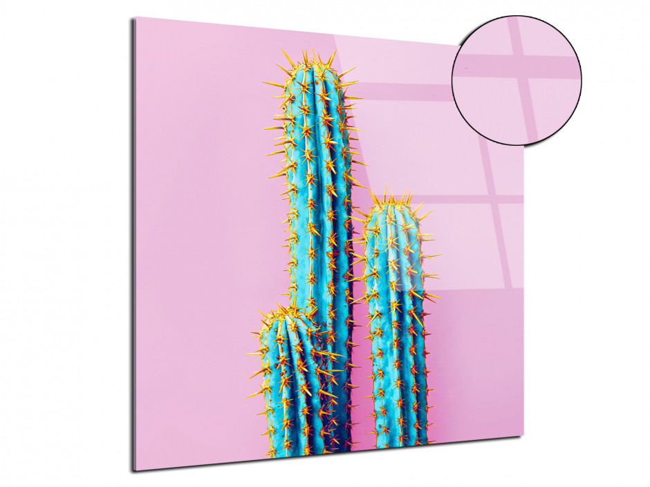 Tableau plexiglas deco vintage Cactus
