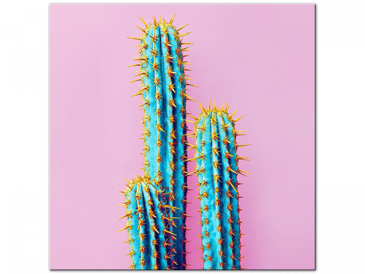 Mur de cactus│ Poster fleurs│ Cadre deco