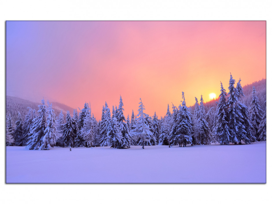 Tableau aluminium paysages forêt enneigé au levé du soleil