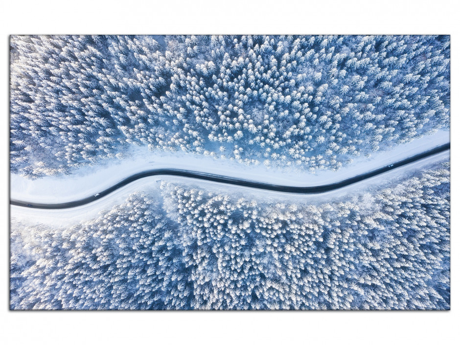 Tableau aluminium photographie aérienne forêt enneigé