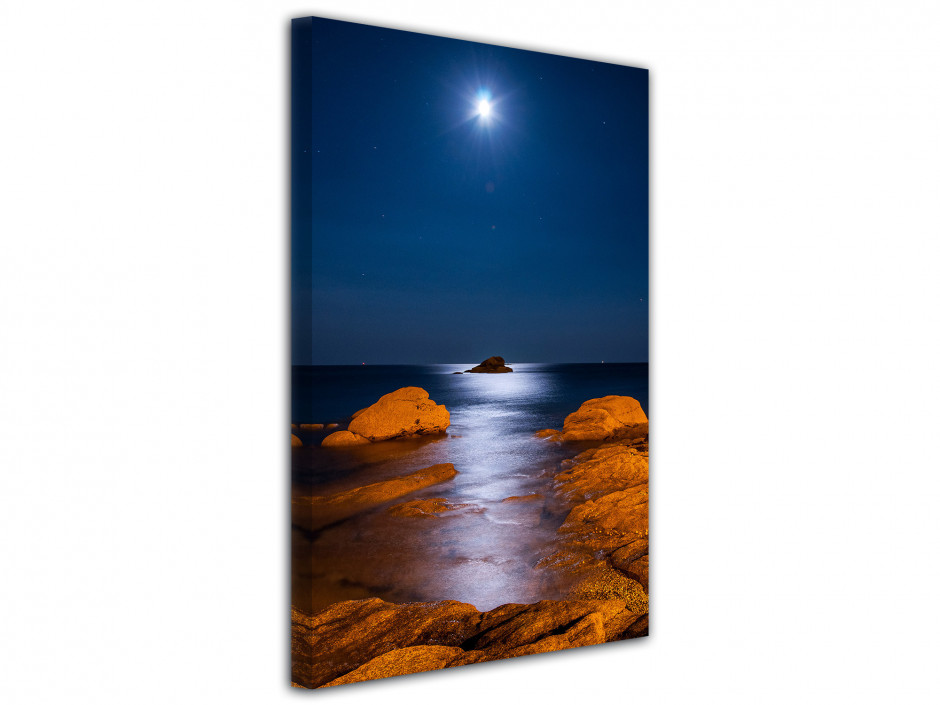 Tableau photo de paysage au clair de lune