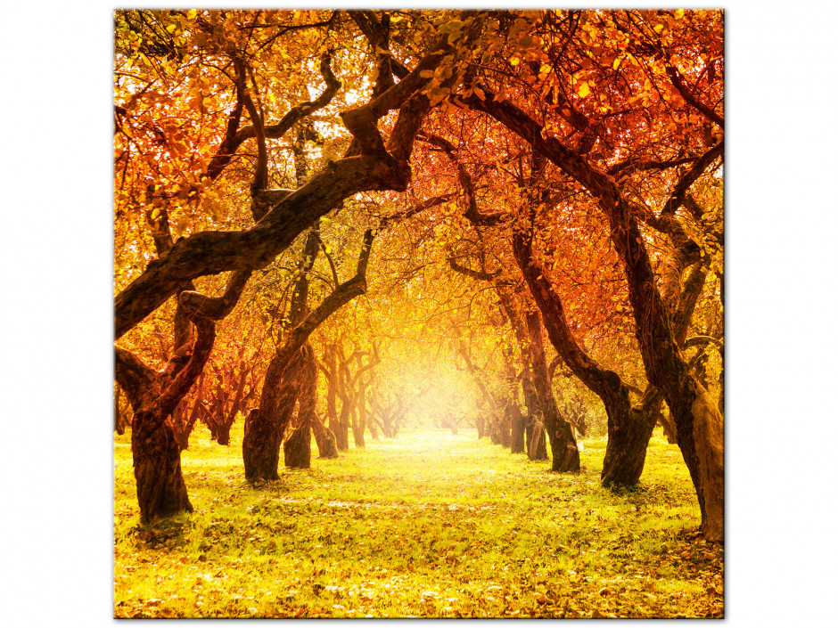 Tableau photo carré paysage d'automne