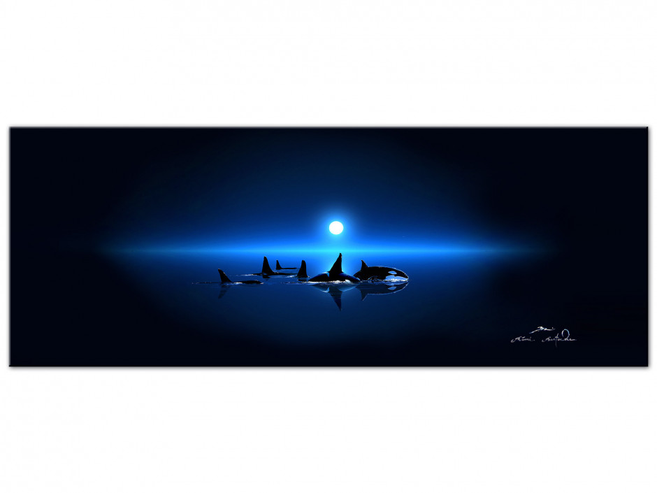 Tableau Rémi Bertoche reproduction sur Aluminium Ocean Love