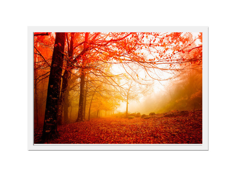 Poster - Nature - Automne - Montagnes - Arbres - Poster mural - Poster  photo - Posters