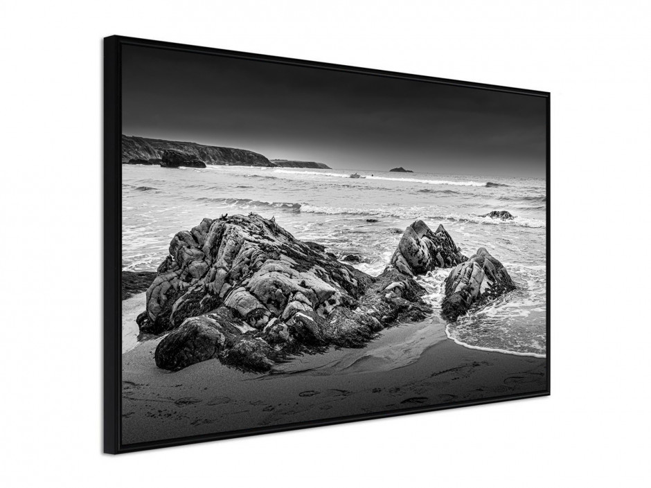 Poster sous cadre Plage et rocher noir et blanc