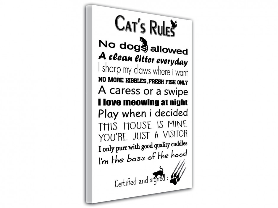 Tableau toile décorative Cat's Rules