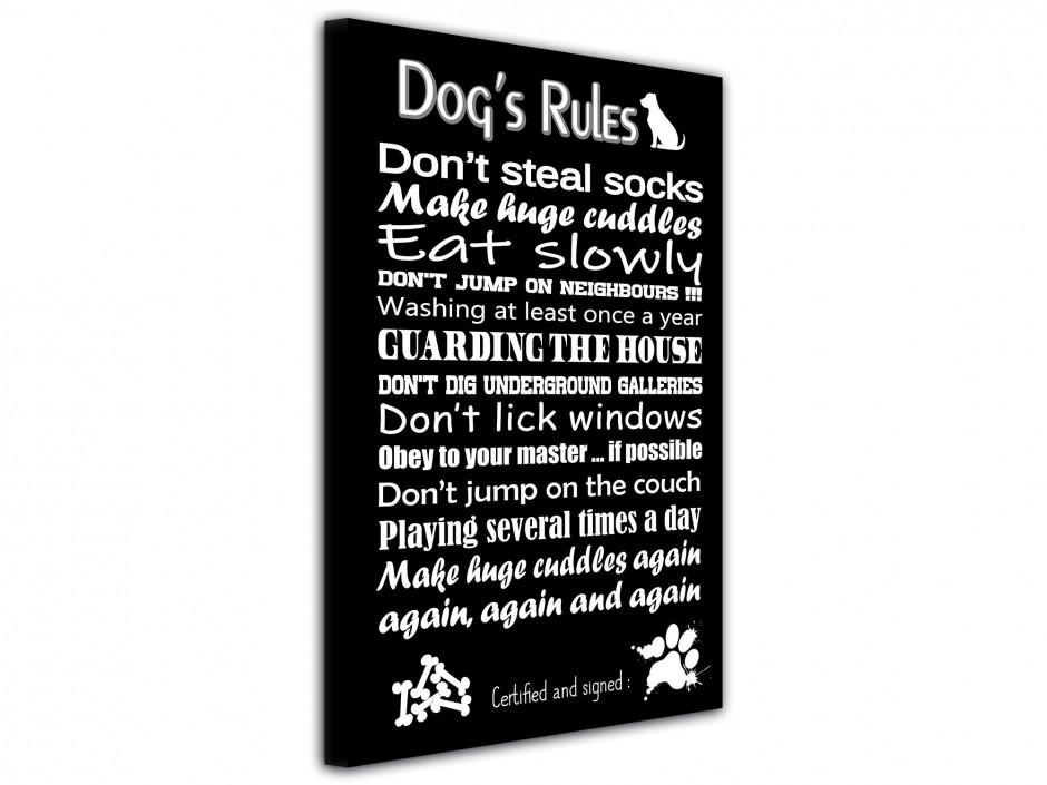 Tableau toile déco Dog's Rules