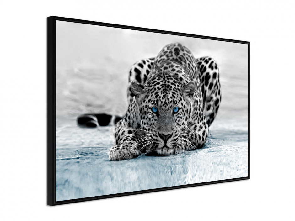 Poster Animaux Leopard