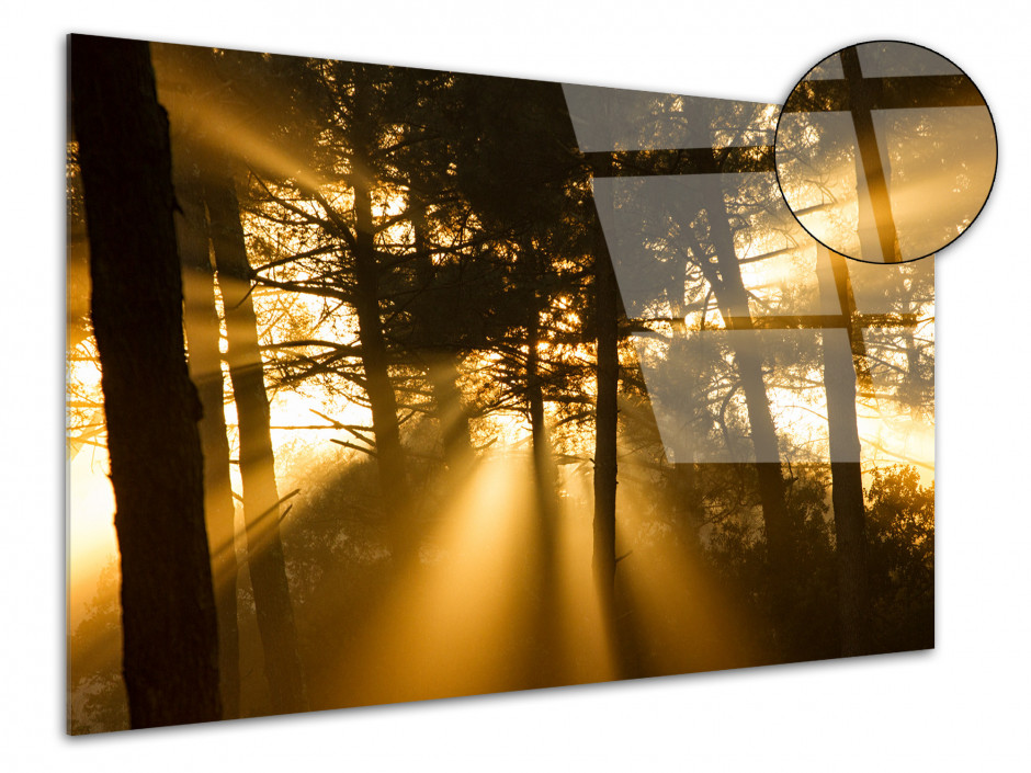 Tableau plexiglas photo déco Forest Sunset