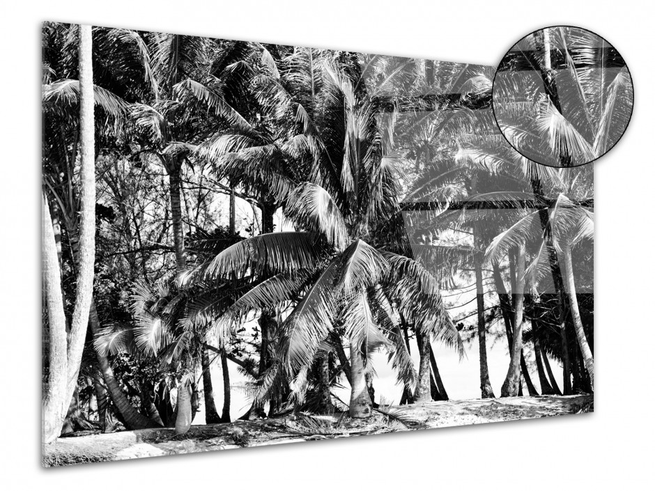 Tableau plexiglas déco paysage Polynésie noir et blanc