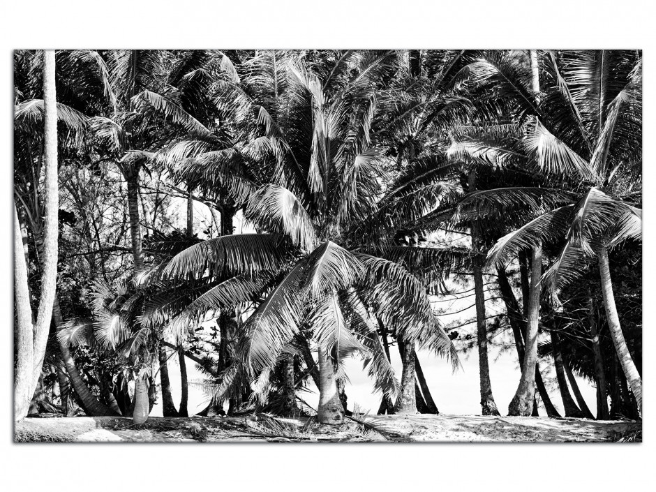 Tableau aluminium déco paysage Polynésie noir et blanc