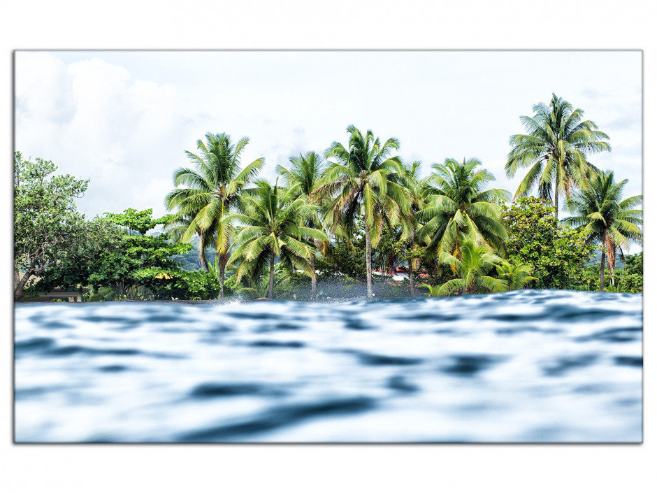 Tableau déco aluminium Vue sur les palmiers Tahiti