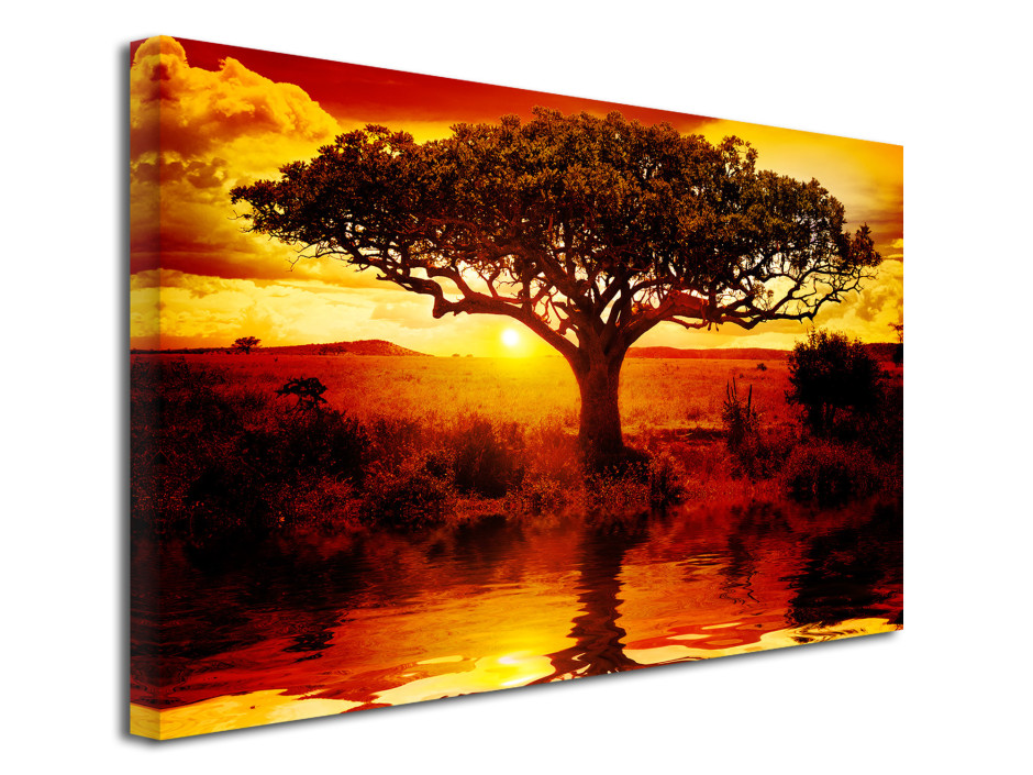 Tableau déco toile paysage arbre Africain