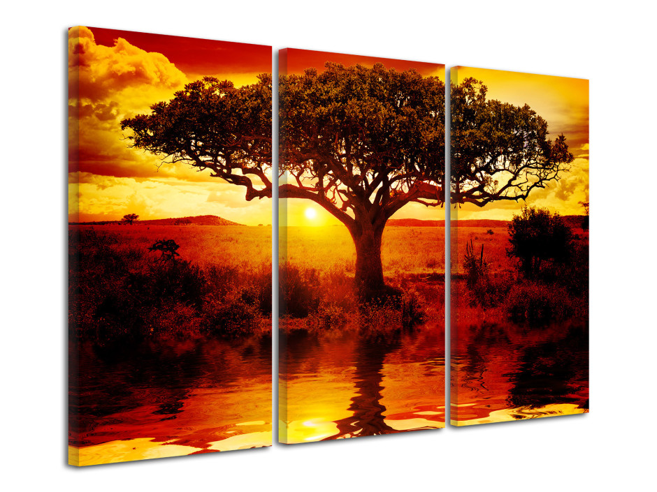 Tableau triptyque toile paysage arbre Africain