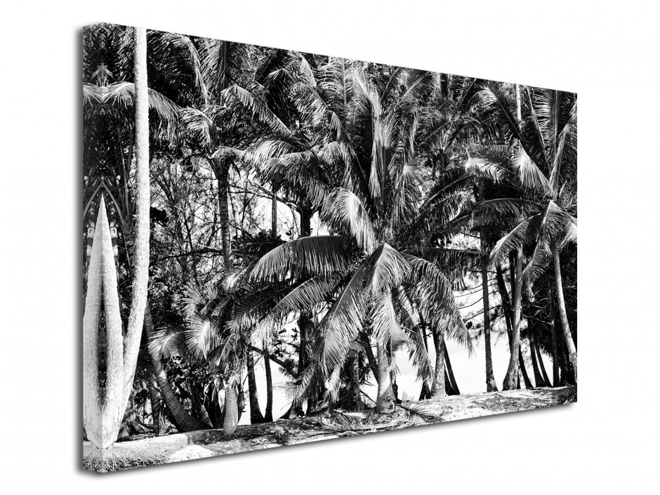 Tableau toile déco paysage Polynésie noir et blanc