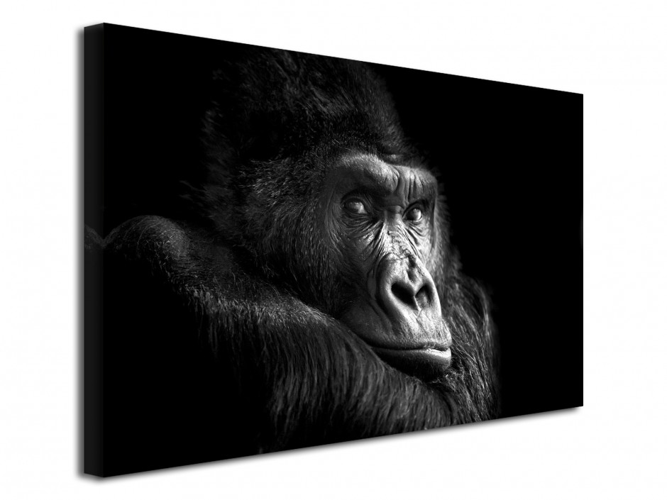 Tableau toile déco Portrait de Gorille