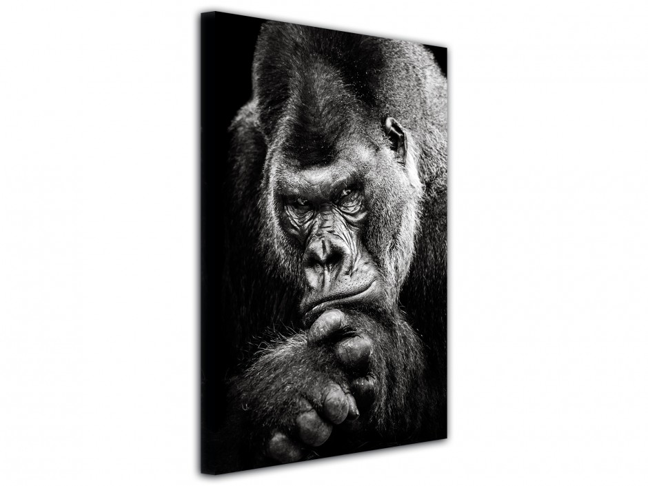 Tableau photo toile Gorille