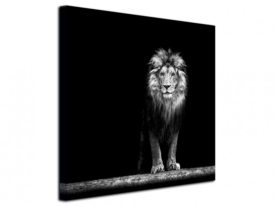 Tableau photo sur toile Le Lion