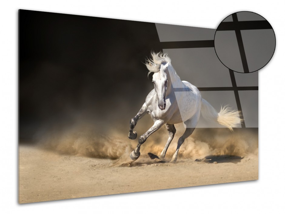 Tableau déco plexiglas Cheval blanc au galop