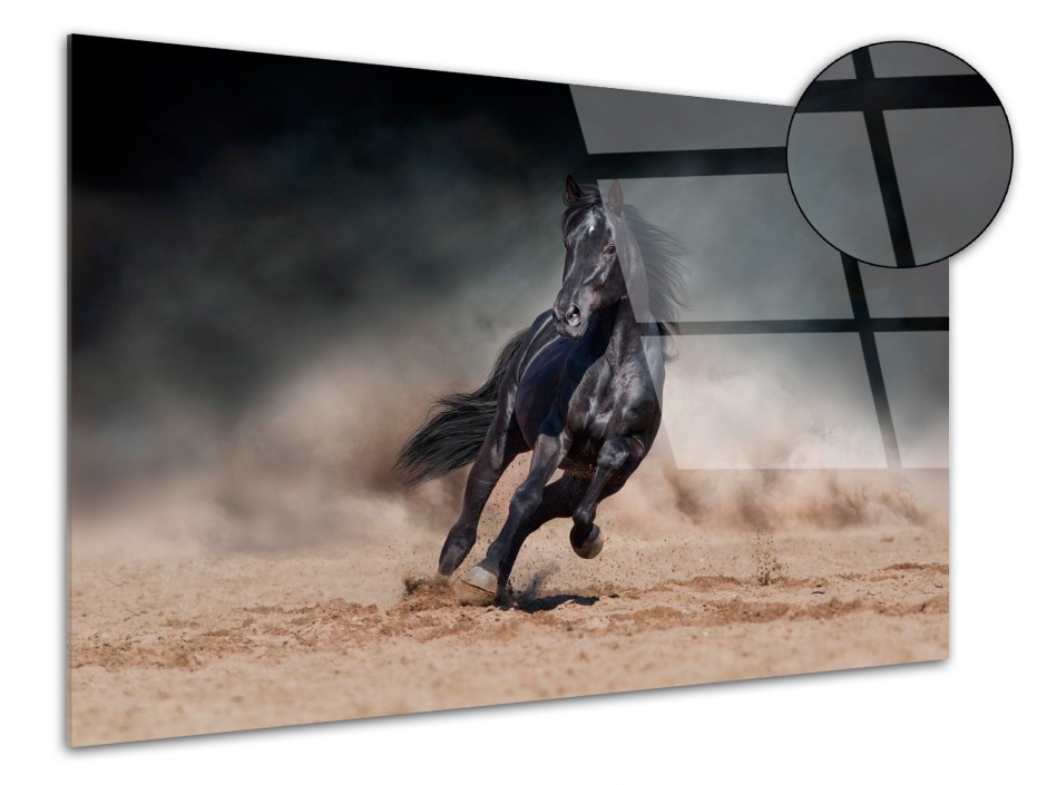 Tableau déco plexiglas Cheval Noir au galop