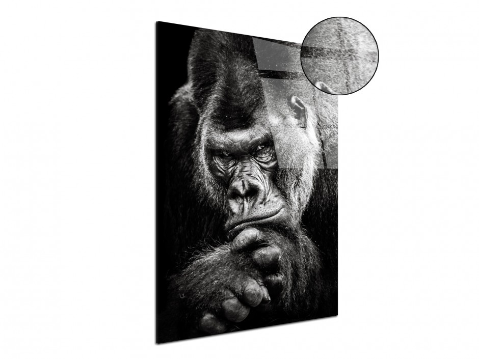 Tableau photo plexiglas Gorille